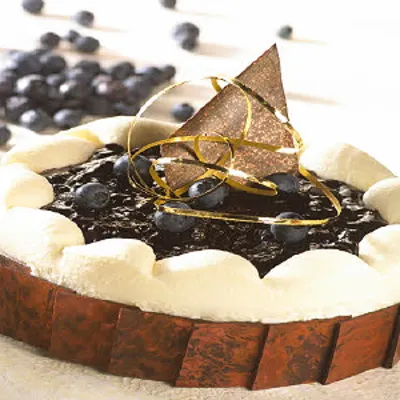 Topfil Blueberry 70%